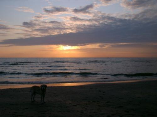 Badhotel Zeecroft Wijk aan Zee Luaran gambar